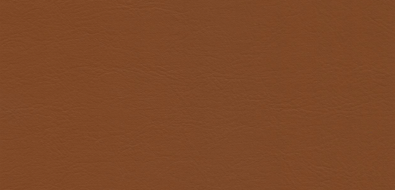 Cinnamon Stick