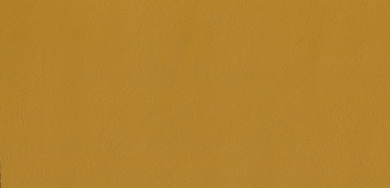 Creme Caramel