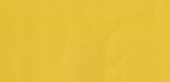 Lemon Fizz