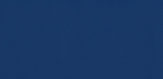 Sea Breeze