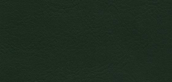 Shamrock