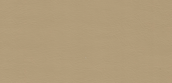 Vanilla Cream
